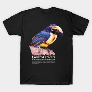 Collared aracari tropical bird white text T-Shirt